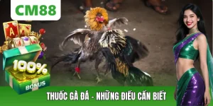 Thuốc Gà Đá Là Gì? Rủi Ro, Lưu Ý Và Góc Nhìn Tại CM88