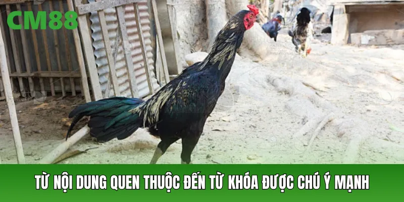 Từ nội dung quen thuộc đến từ khóa được chú ý mạnh